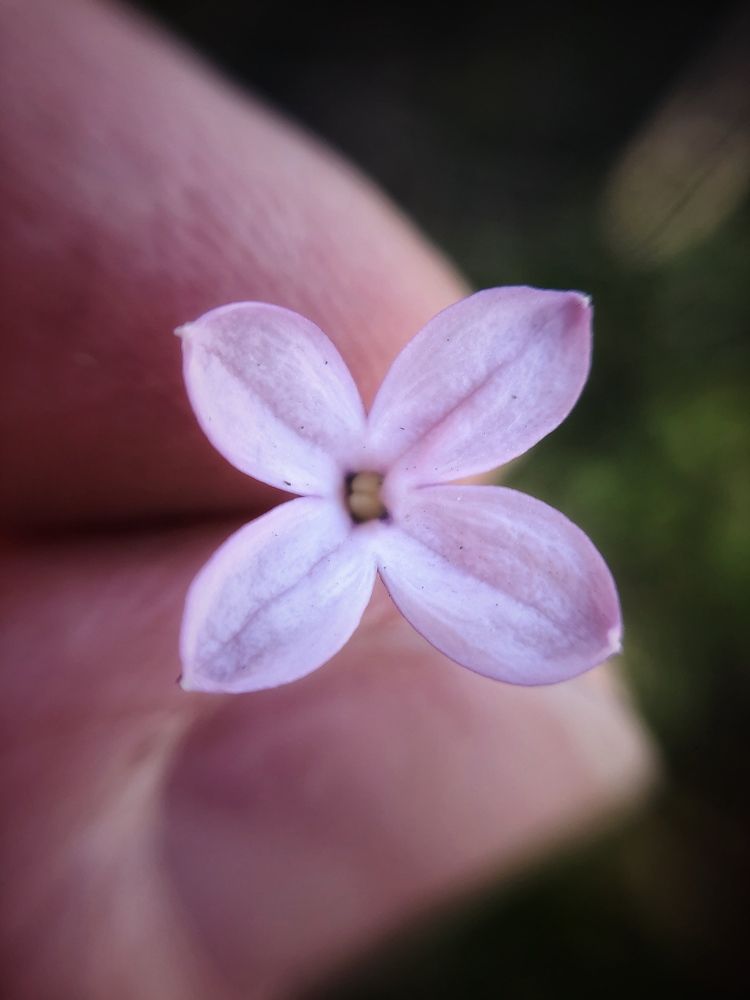 Photograph by Ксения Соснина