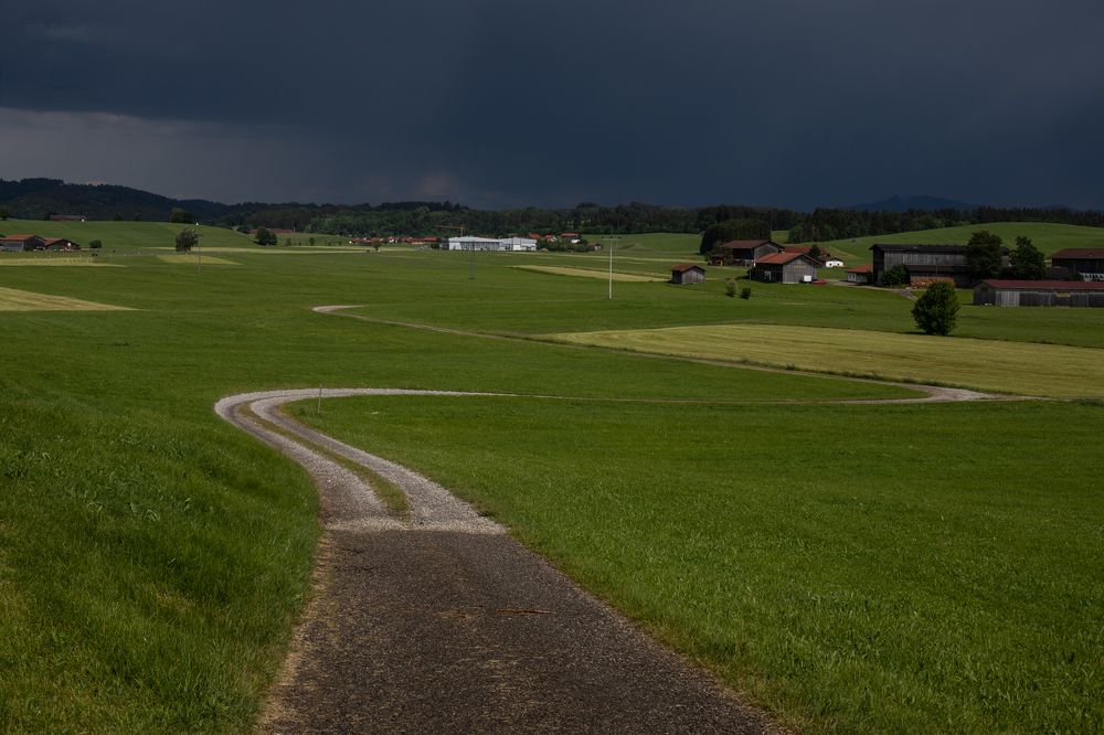 Photograph by Yana Kaziulia