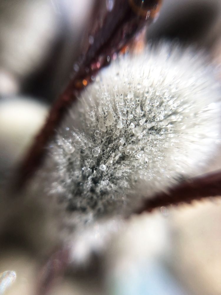 Photograph by Ксения Соснина