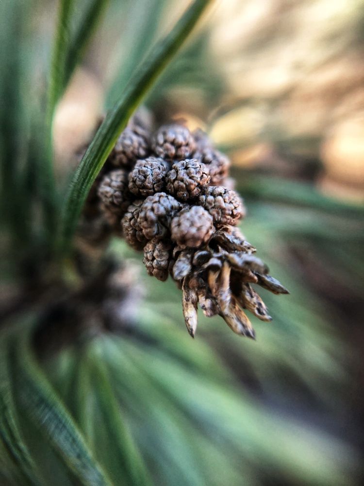 Photograph by Ксения Соснина