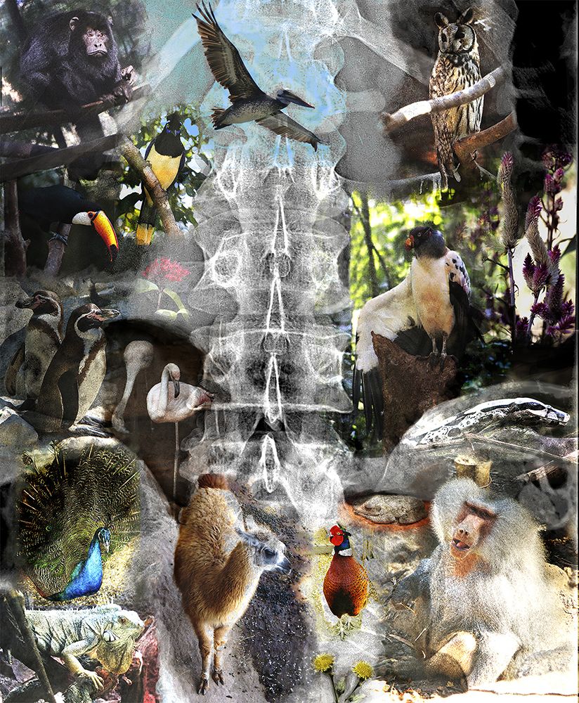 Фотография автора Valdevani Aprigio