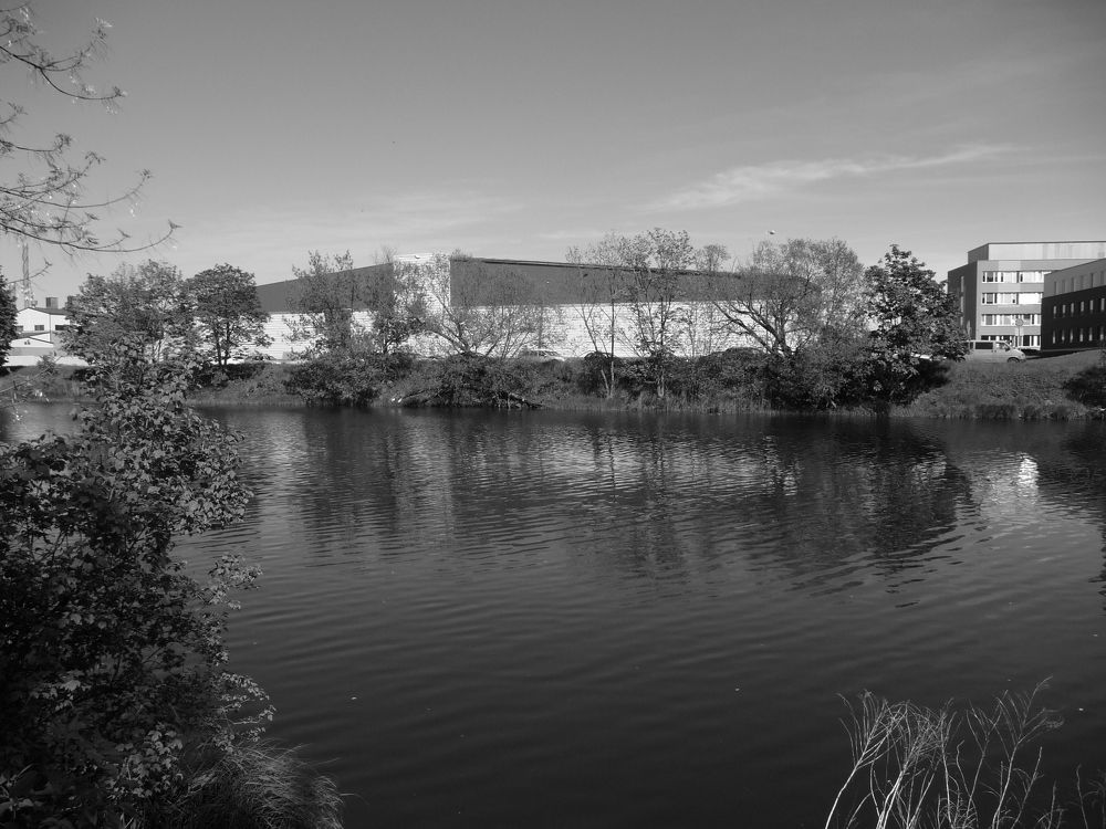 Фотография автора даниел милчев