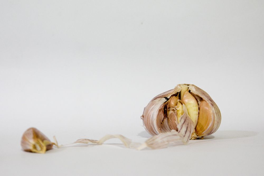 Photograph by YARDEN ZAGOURY