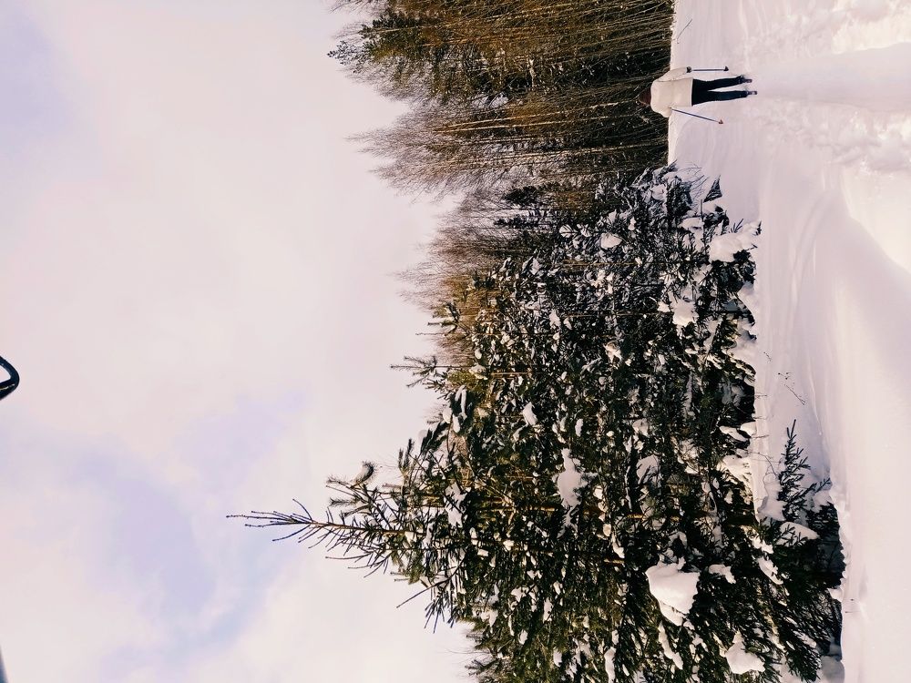 Photograph by Дарья Горицкая