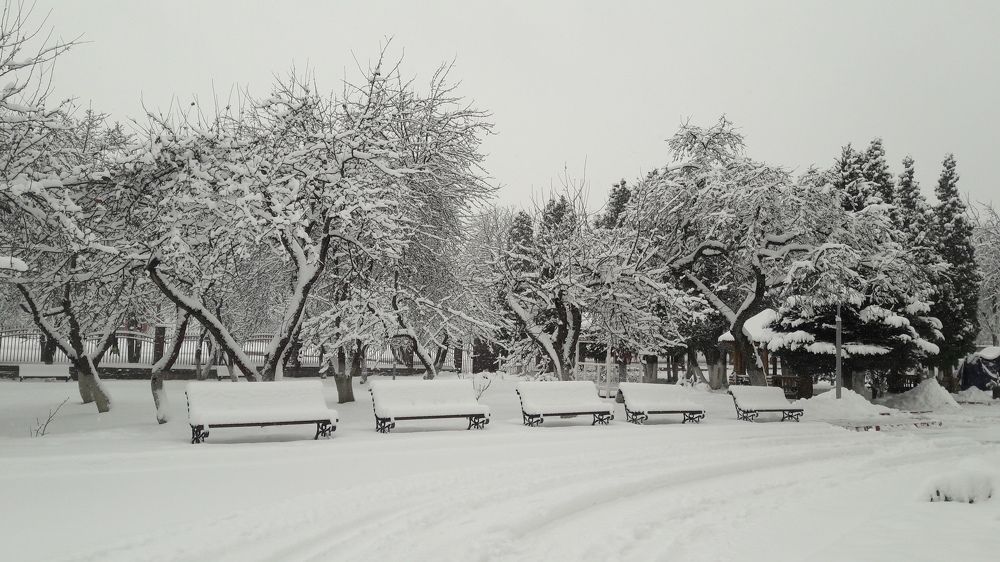 Photograph by Татьяна Адамович