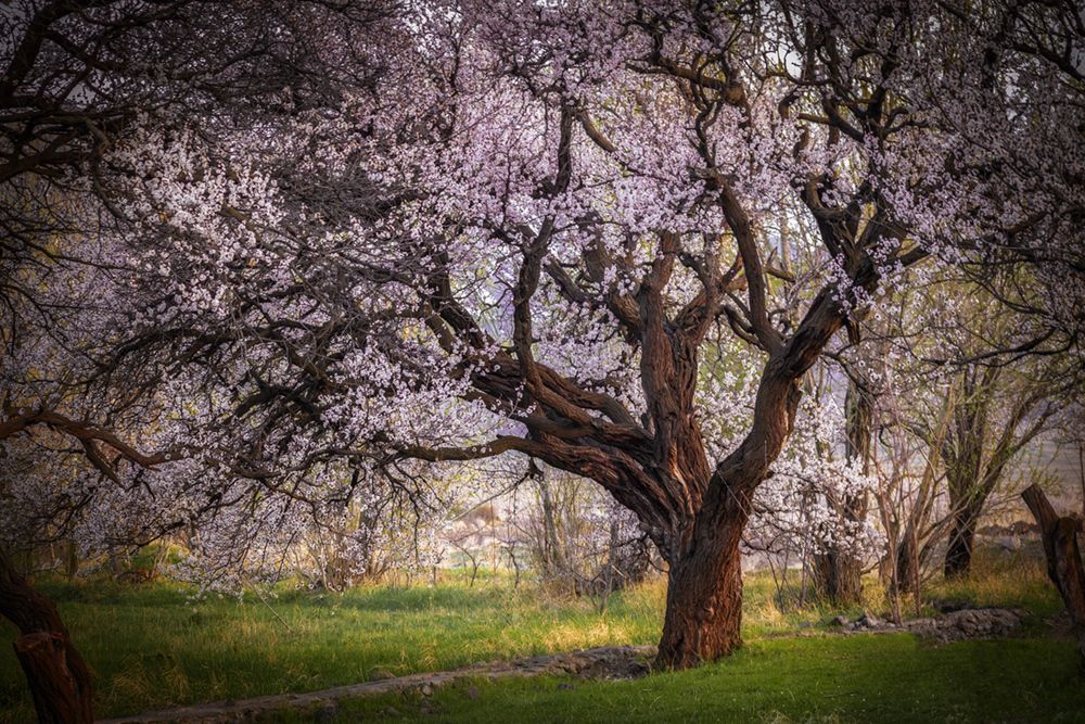 Photograph by Amir Ramezani