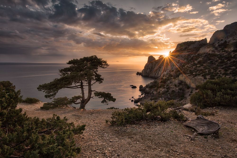 Photograph by Роман Колесников