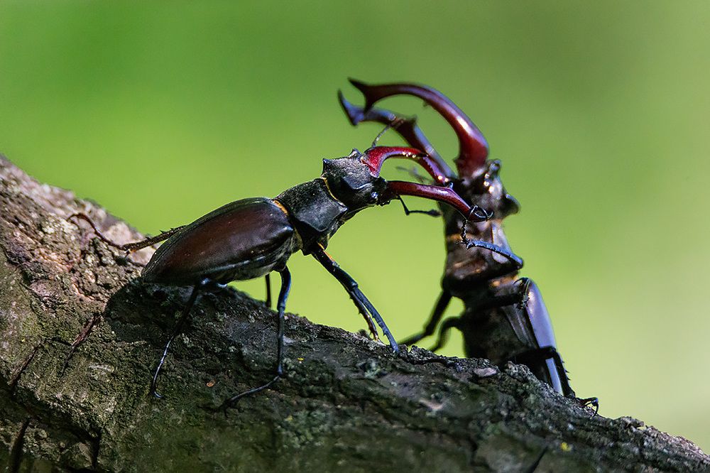 Photograph by Сергей Савви