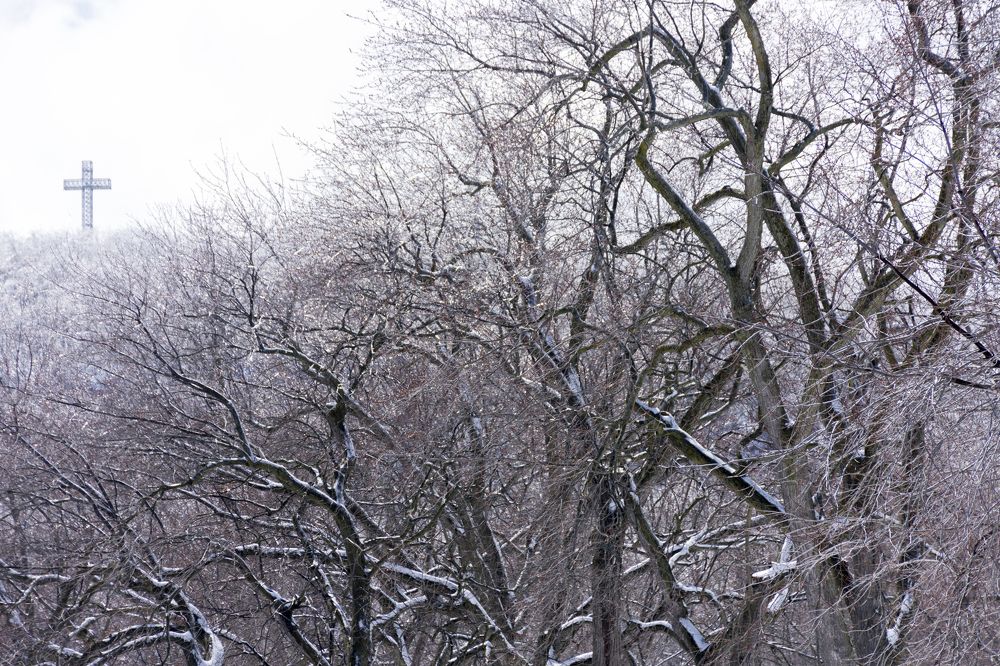 The Montreal cross