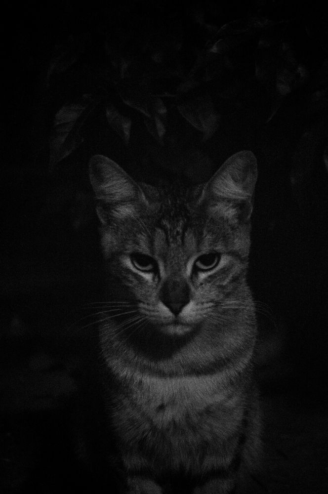 Photograph by Sebastián González