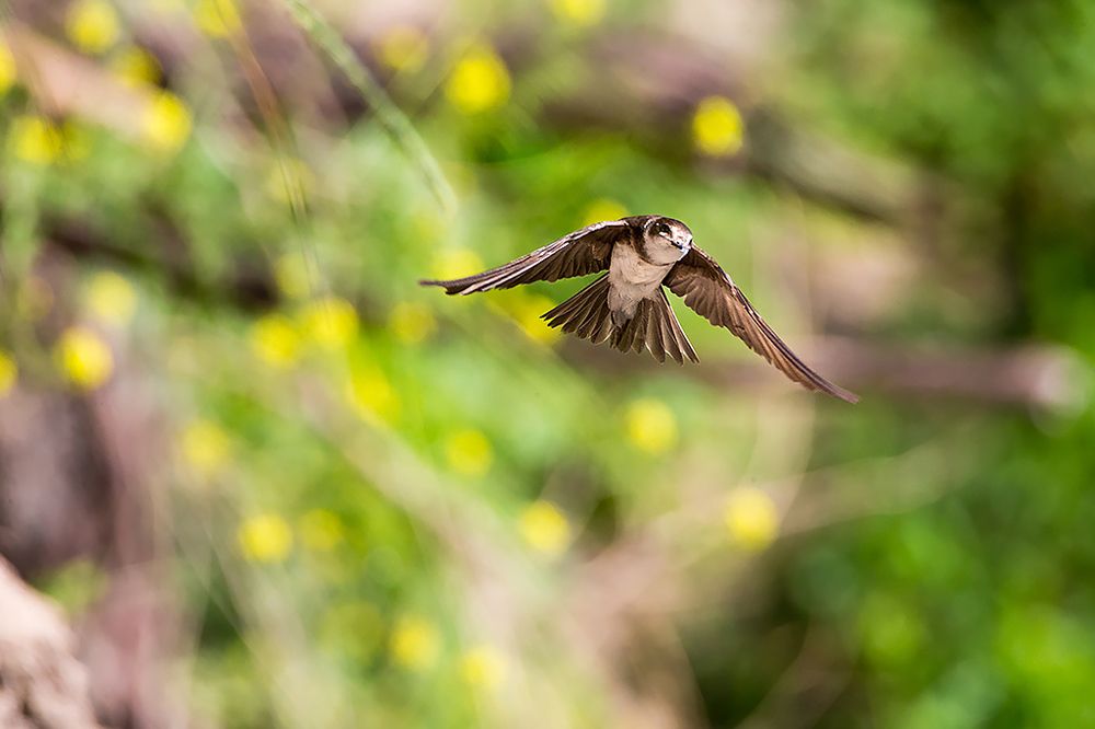 Photograph by Сергей Савви