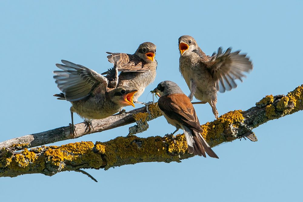 Photograph by Сергей Савви