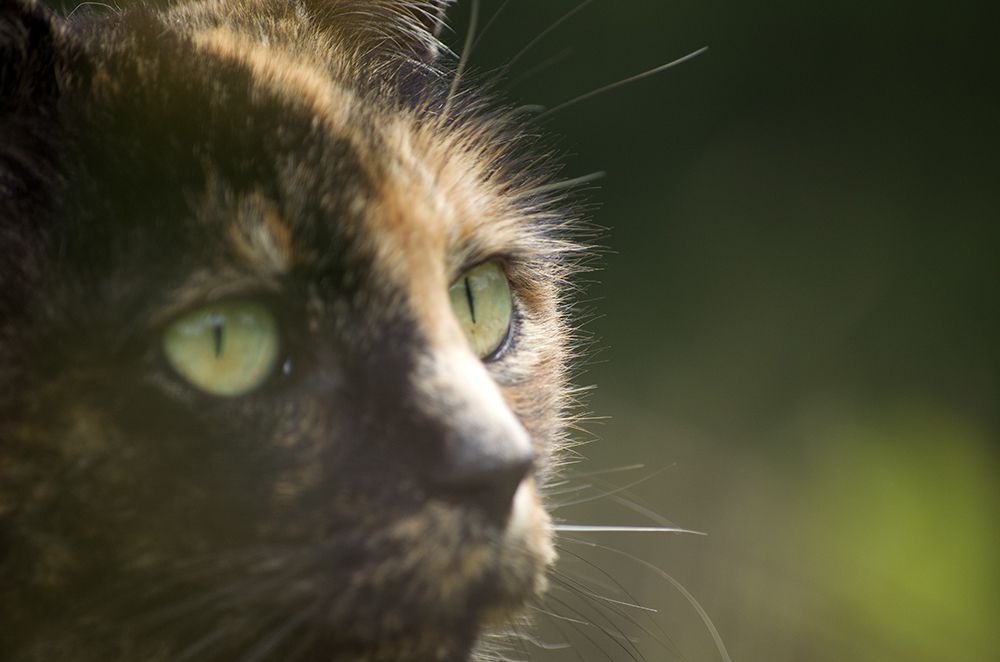 Photograph by Luis Miguel Báez Díaz