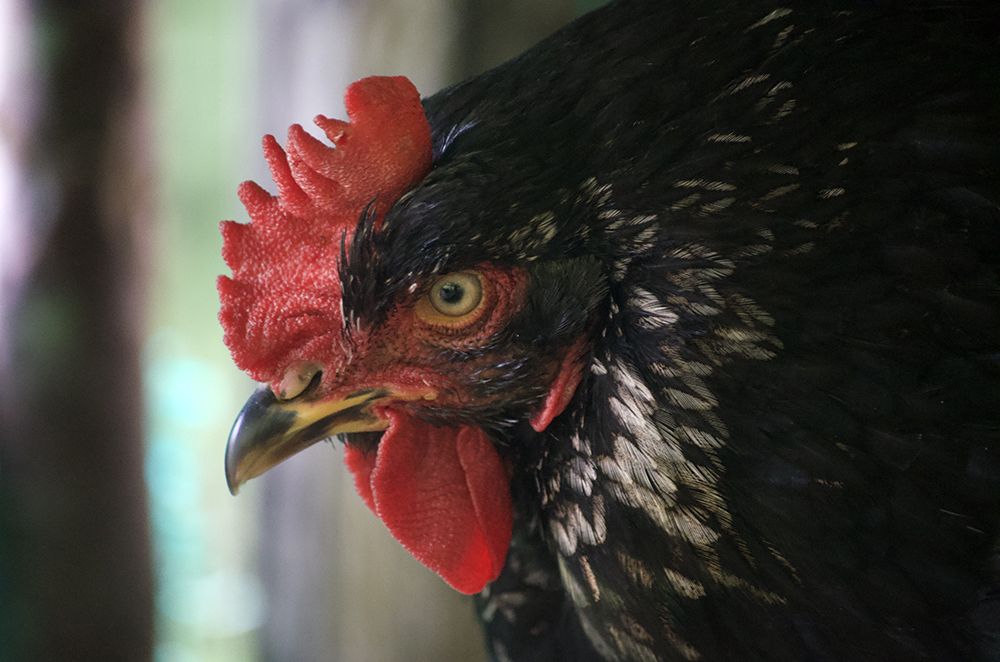 Photograph by Luis Miguel Báez Díaz