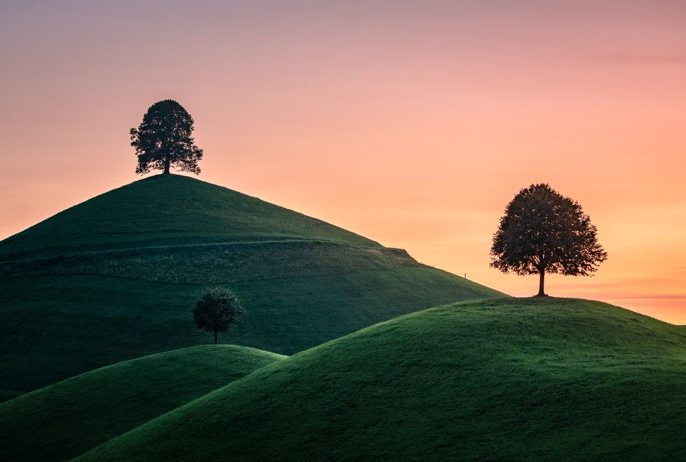 Photograph by Lopes Luis