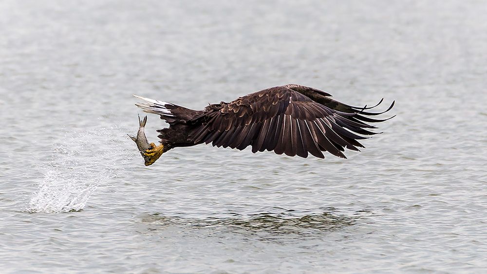 Photograph by Сергей Савви