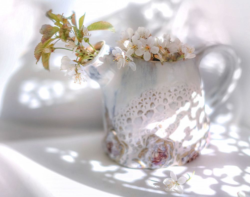 Натюрморт с веточкой яблони.