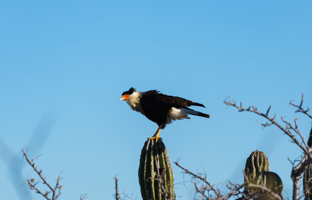 Photograph by Armando Galaviz