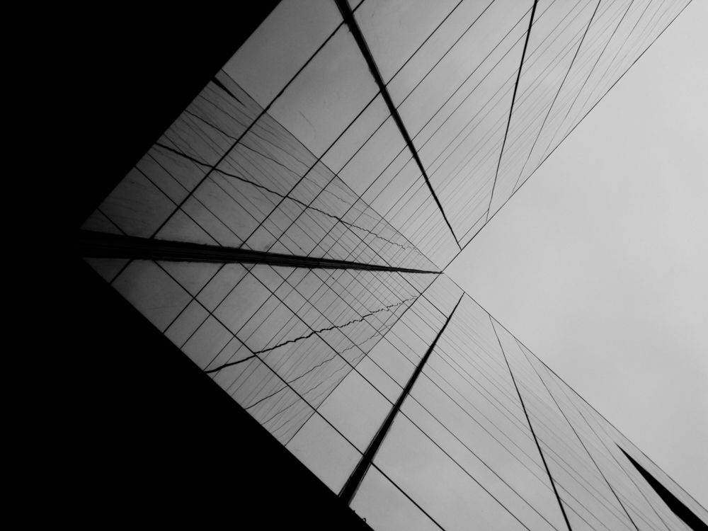 Photograph by Bianca Castillo