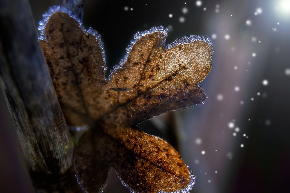 Photograph by Владислав Бичук