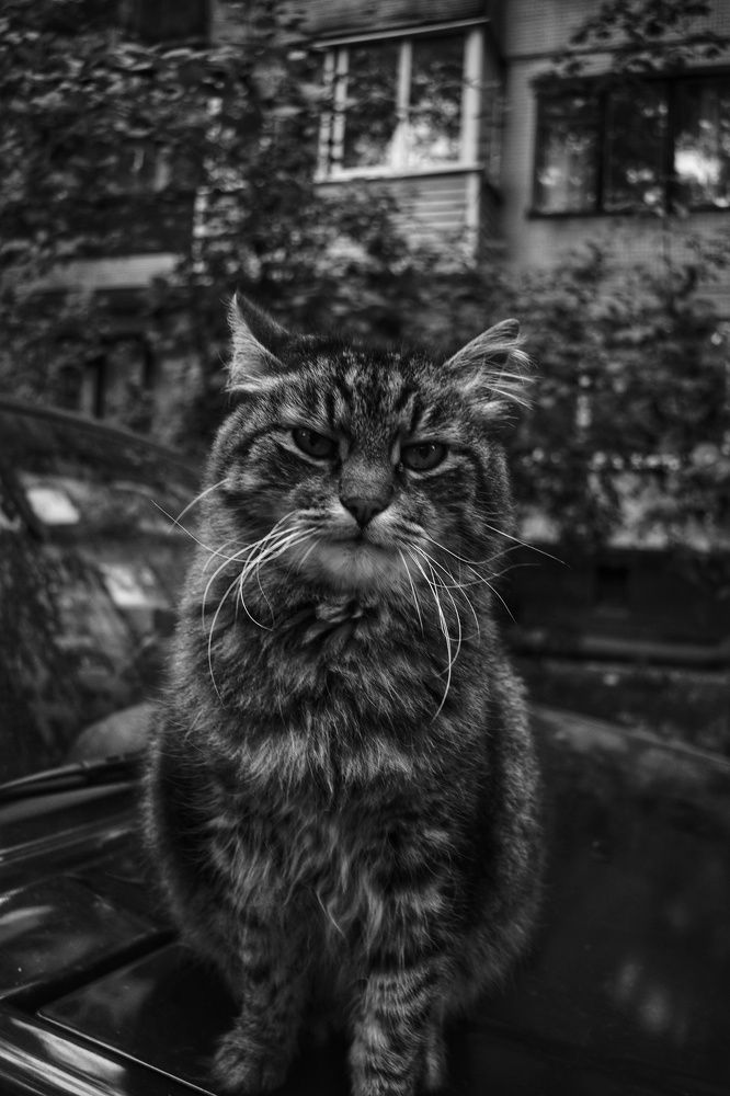 Photograph by Ольга Монаенкова