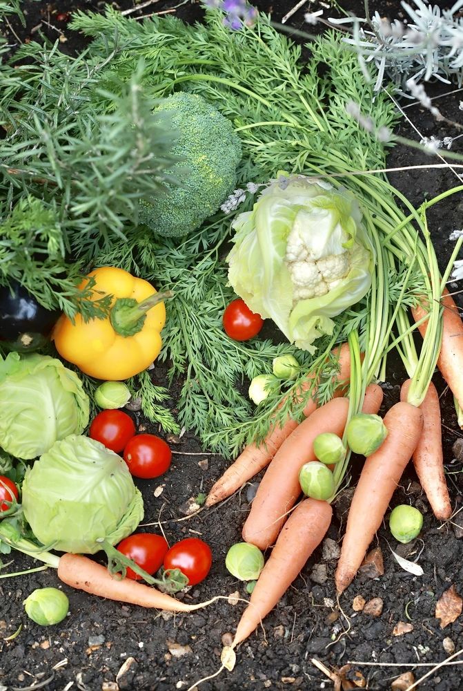 Photograph by Anastasia Mosina