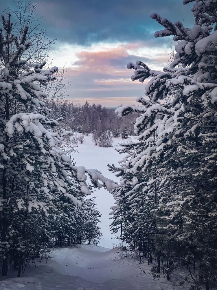 Зимняя сказка