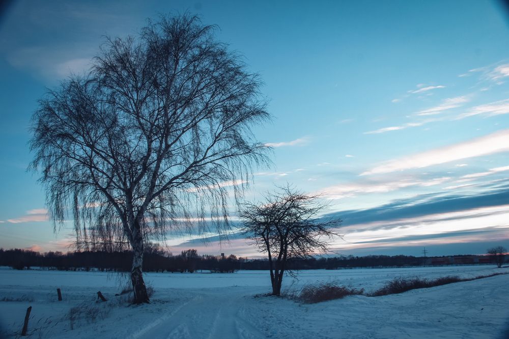 Photograph by Алёна Мажорова