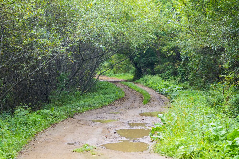 Photograph by Леонид Сидоров