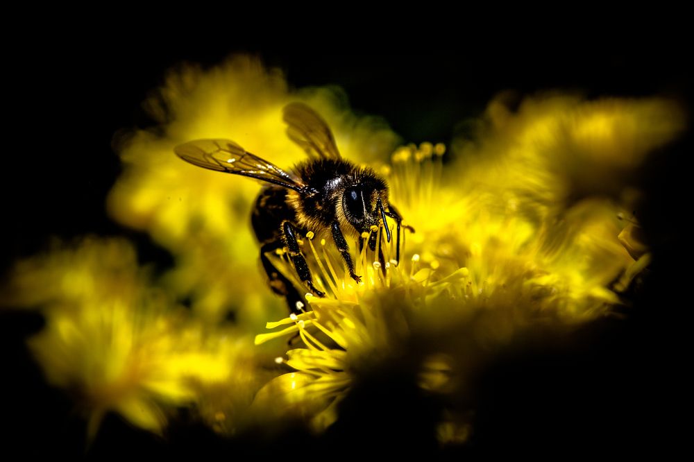 Photograph by Jose Luis Mendez Fernandez