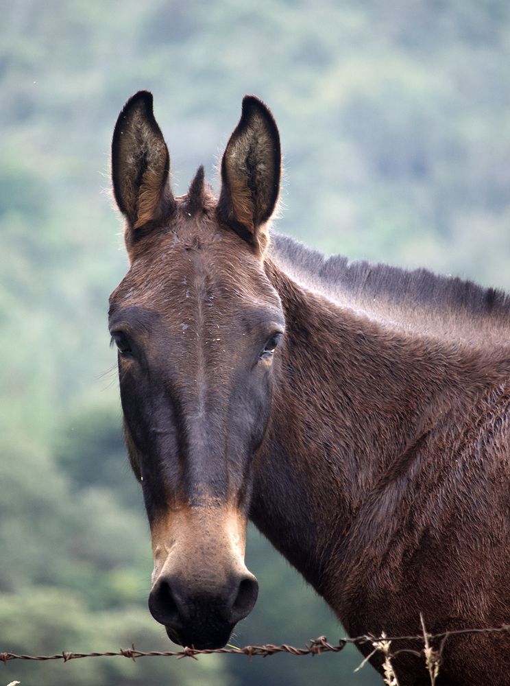 Photograph by Luis Miguel Báez Díaz