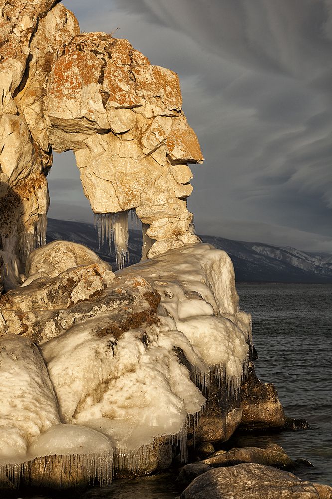 Фотография автора Лариса Кисурина