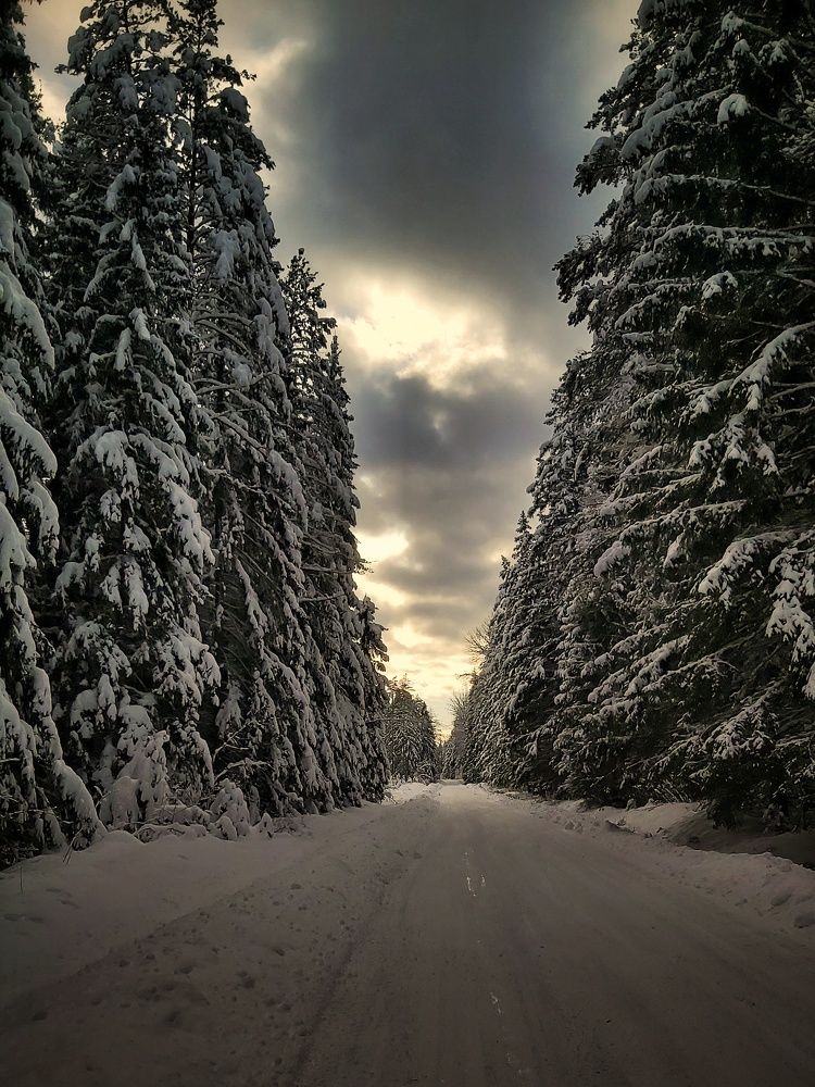 Photograph by Кристина Вингре