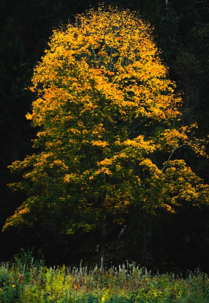 Photograph by Кристина Вингре