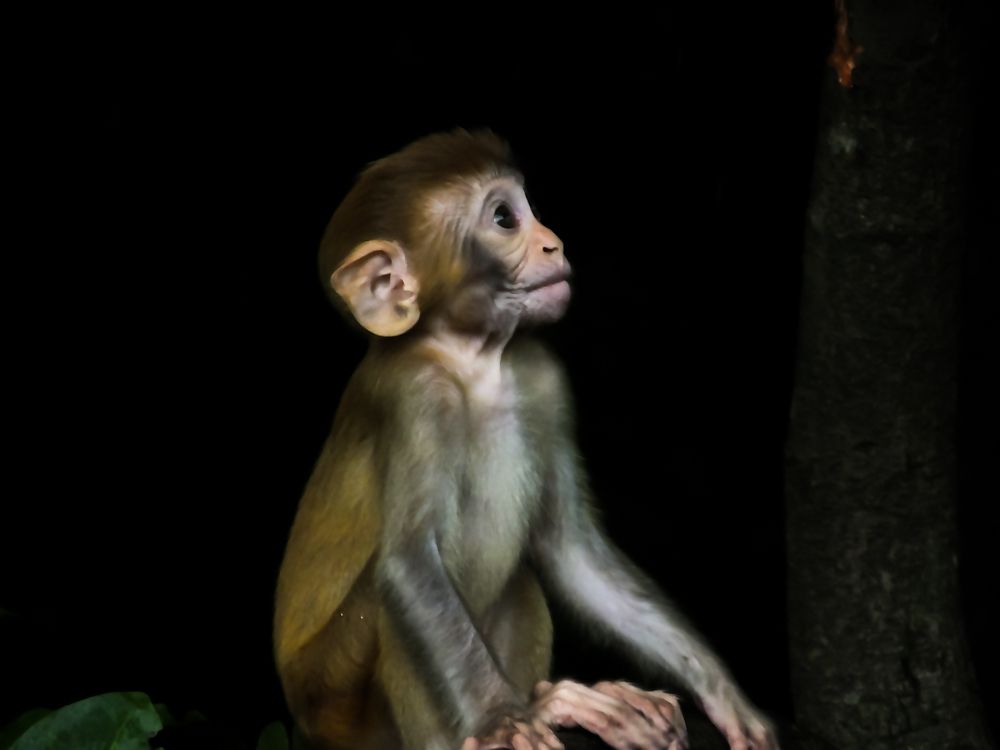 Photograph by Darshan Patil