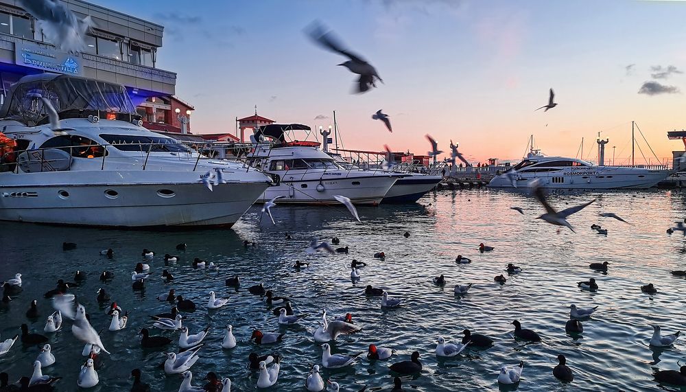 После снежной бури 21-02-2021 Гармония Симметрии