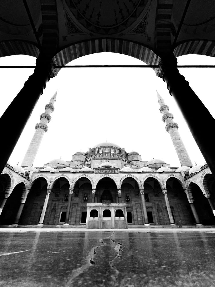 The mosque