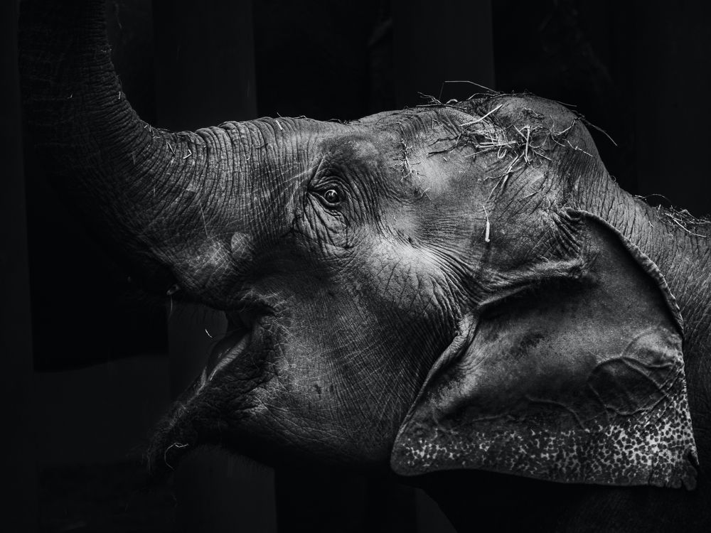 I’m eating right now.