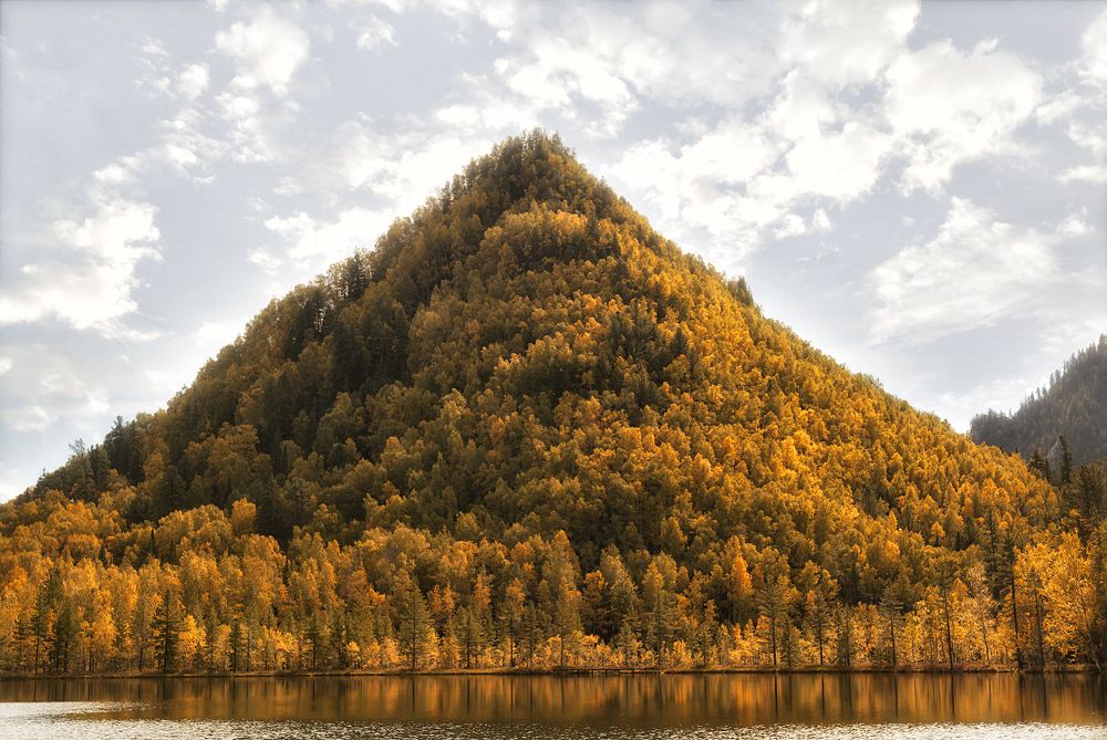 Фотография автора Лариса Кисурина