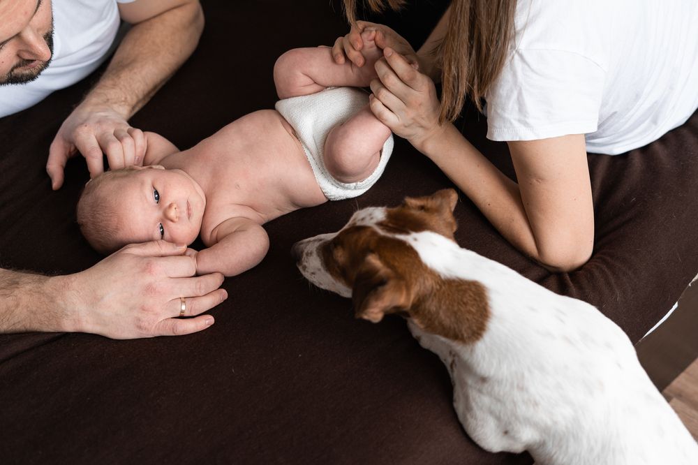 Photograph by Irina Boginya