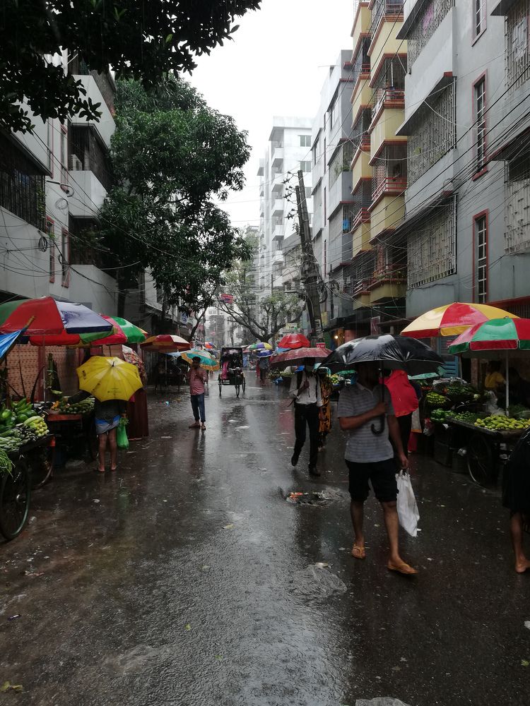 Фотография автора Sheikh Masud