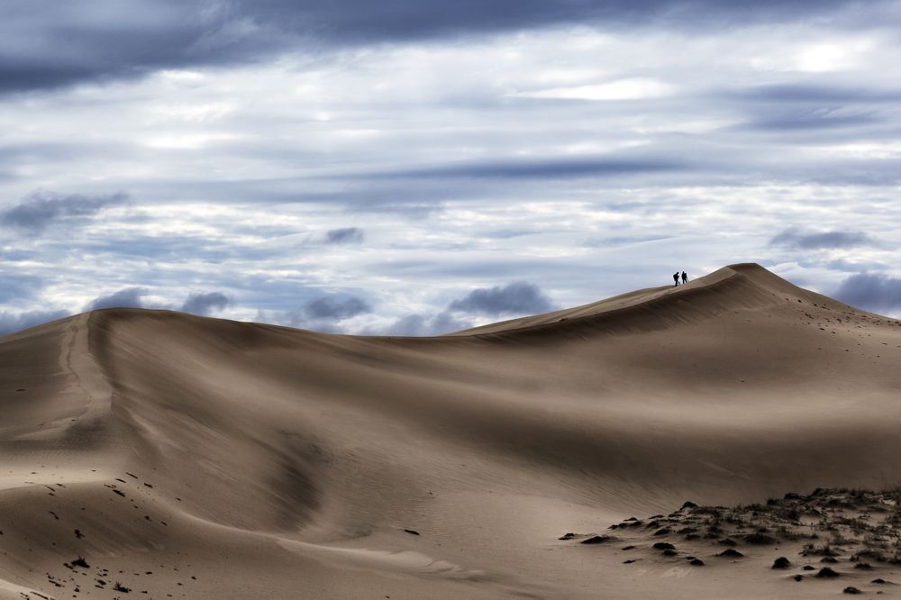 Фотография автора Лариса Кисурина