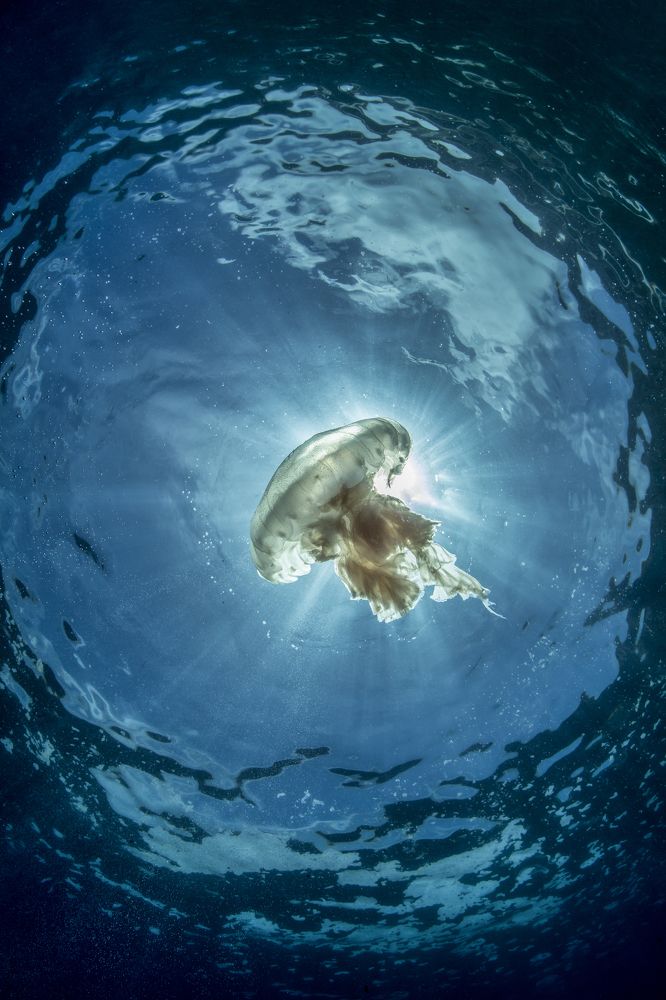 Фотография автора Paula Vianna