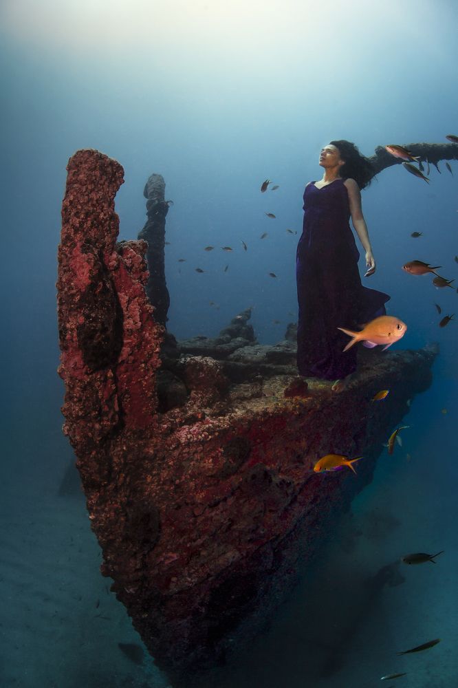 Фотография автора Paula Vianna