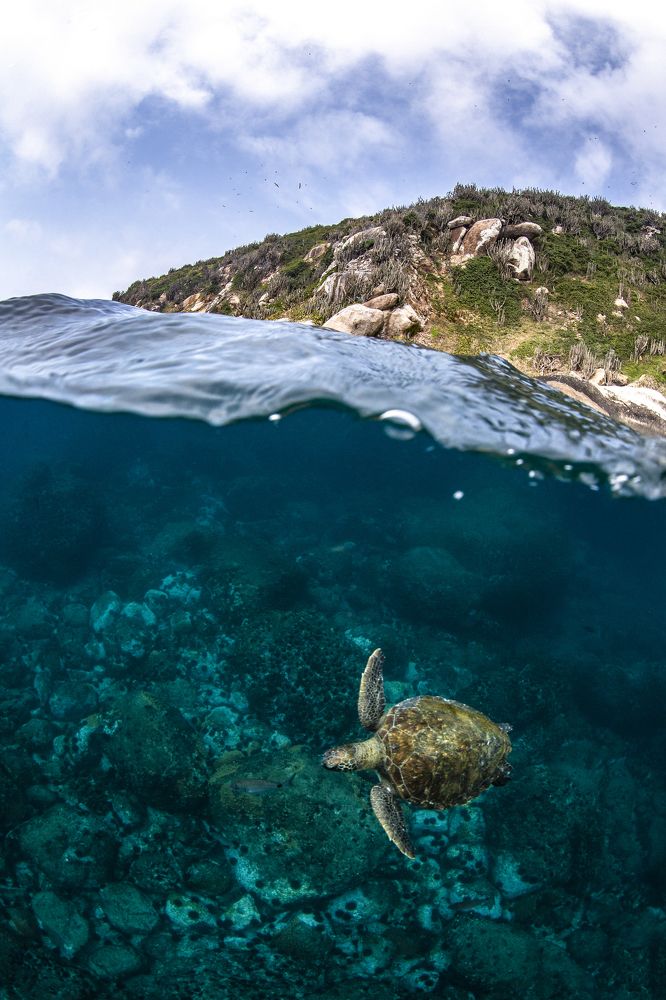 Фотография автора Paula Vianna