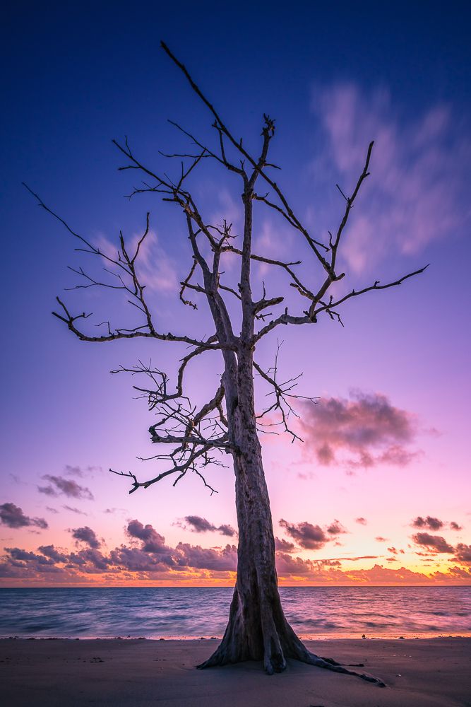 Photograph by Lopes Luis