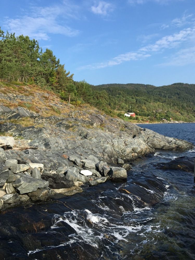 Photograph by Маргарита Венсил.