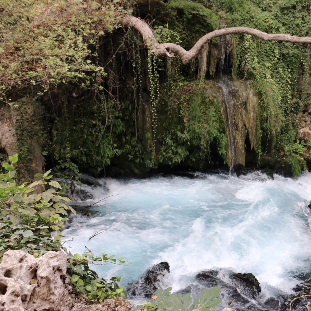 Photograph by Маргарита Венсил.