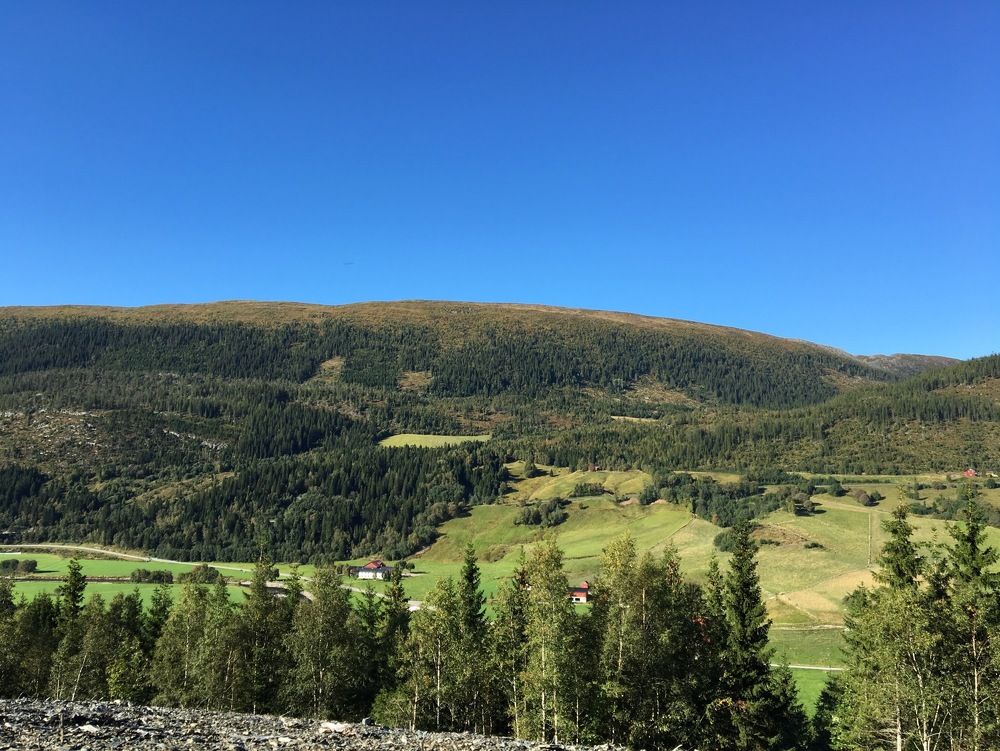 Photograph by Маргарита Венсил.