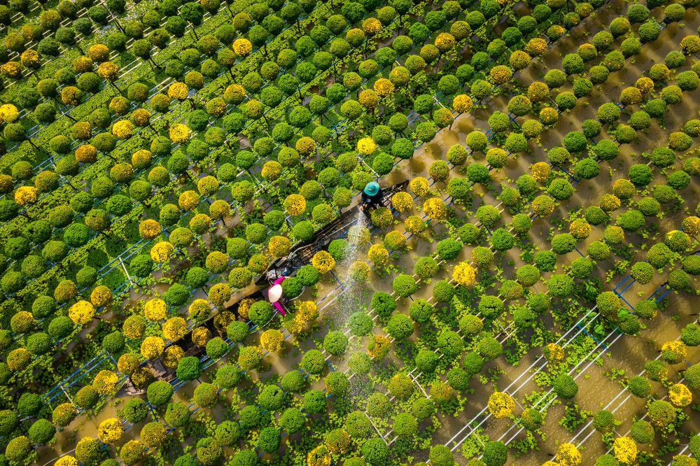 Photograph by Huynh Loc